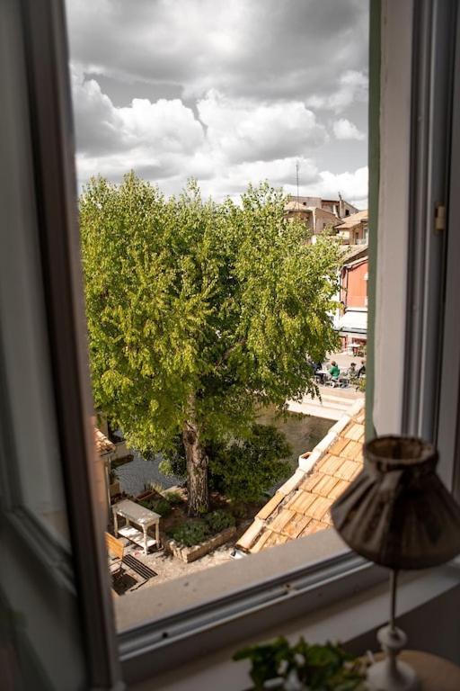 La Maison Du Bassin Л'Іль-сюр-ла-Сорг Екстер'єр фото